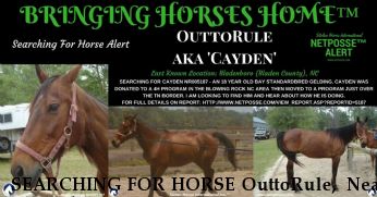 SEARCHING FOR HORSE OuttoRule,  Near Bladenboro, NC, 28320